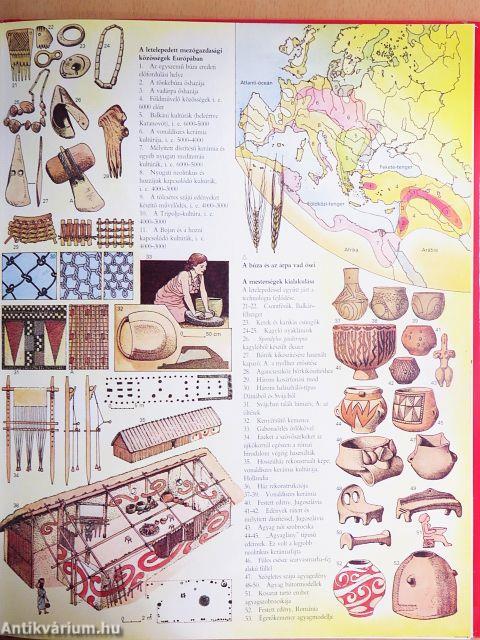 Az első civilizációk