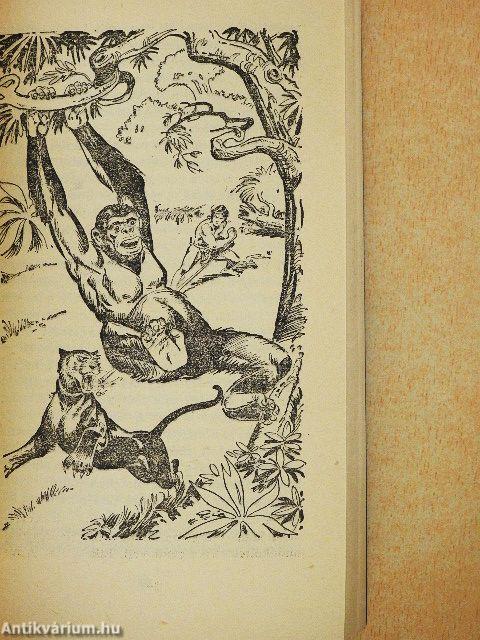Tarzan dzsungeltörténetei