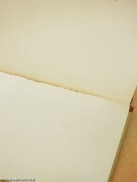 A Munka Törvénykönyve és végrehajtási rendelete