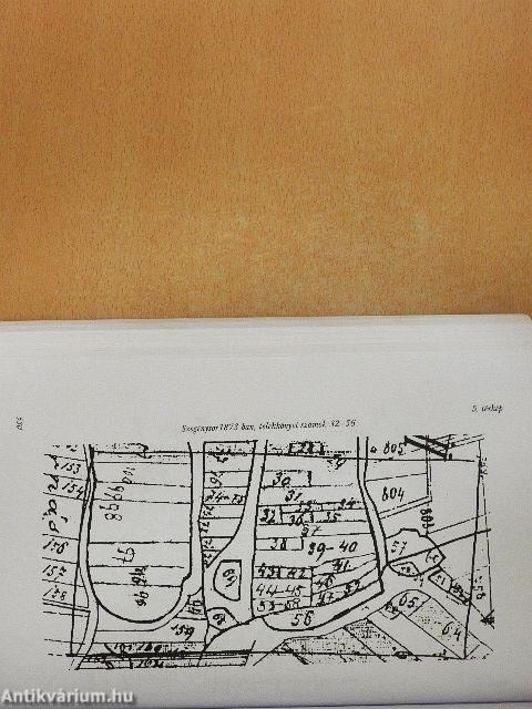 Cigánynak születni