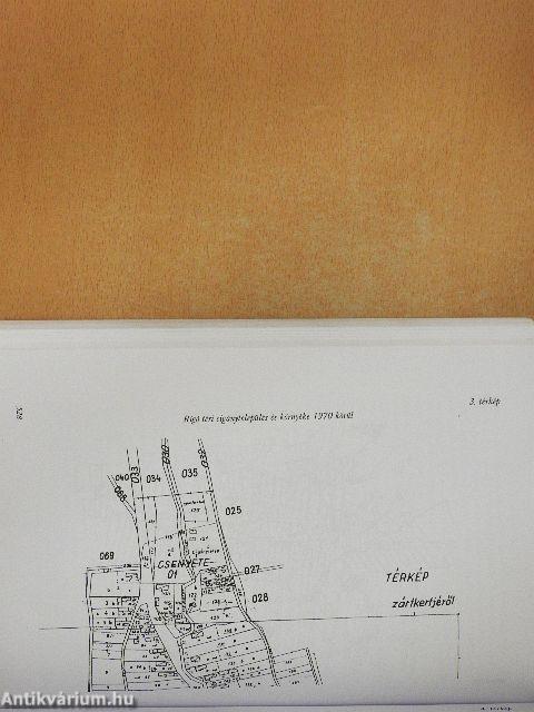 Cigánynak születni