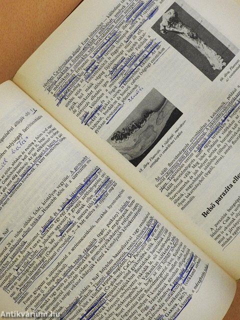 Állatorvosi gyógyszertan