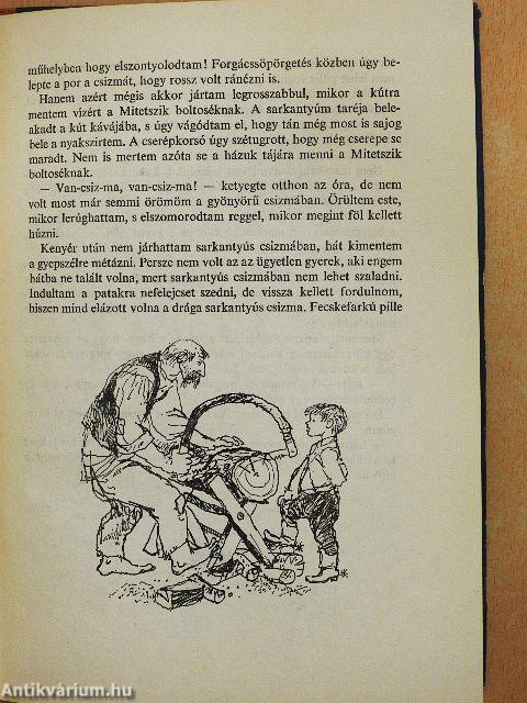 Kincskereső kisködmön