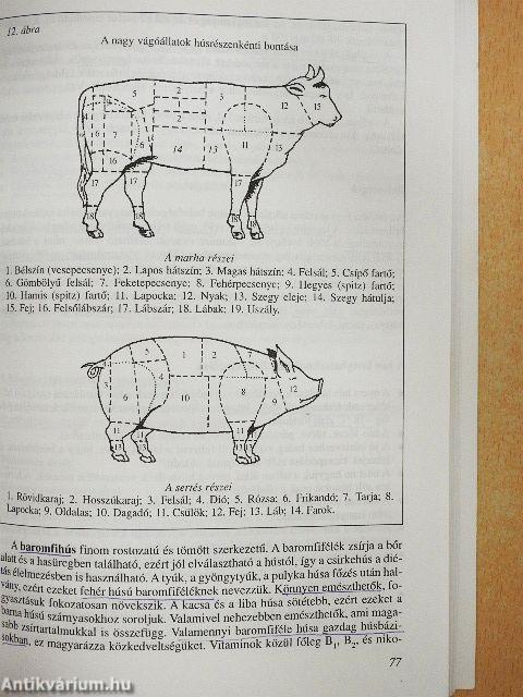 Élelmiszer alapismeretek