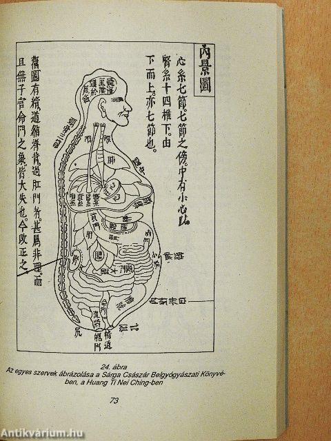 Akupunktúra, életenergia, egészség