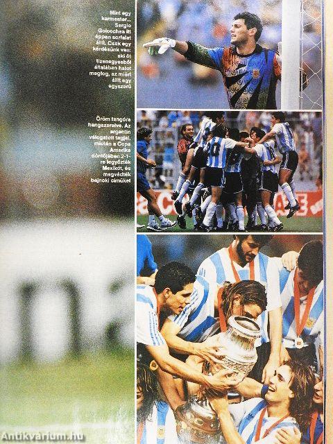 Sport 1993