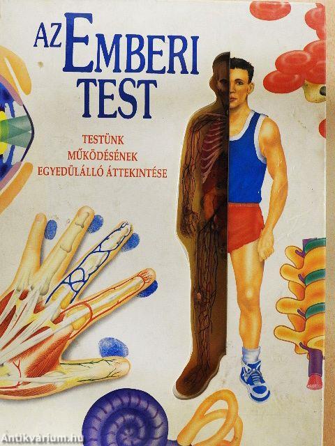 Az emberi test