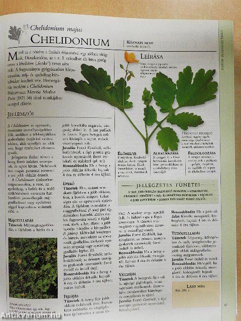 A homeopátia enciklopédiája