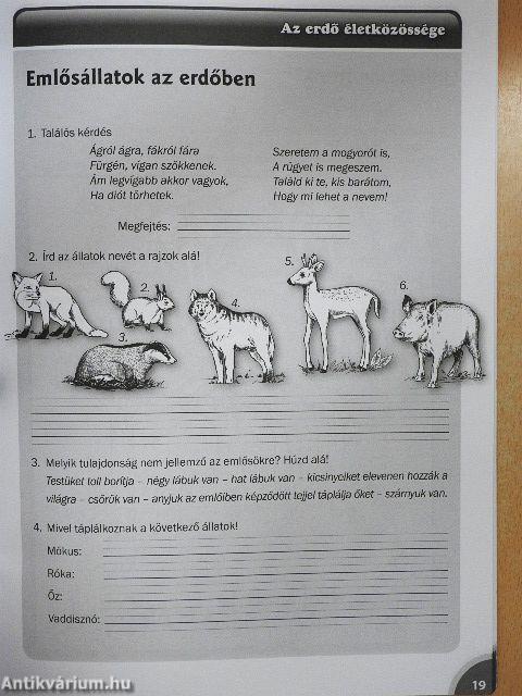 A mi világunk 2. Munkafüzet