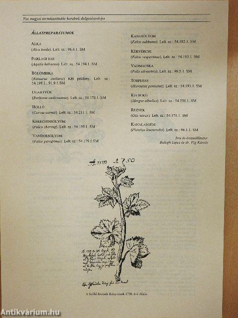 Savaria Múzeum - Szombathely