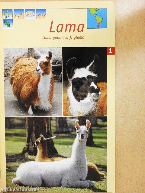 Safaripark Gänserndorf