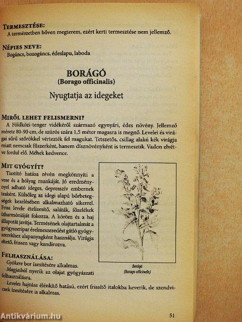 A gyógyító természet