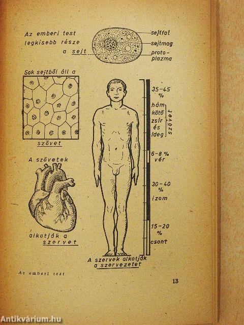A jó egészség könyve
