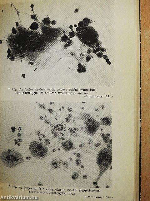 Állatorvosi virológiai diagnosztika