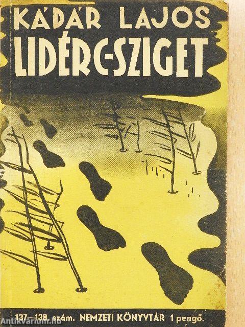 Lidércsziget I./Tanulmány: A népfőiskola jövője