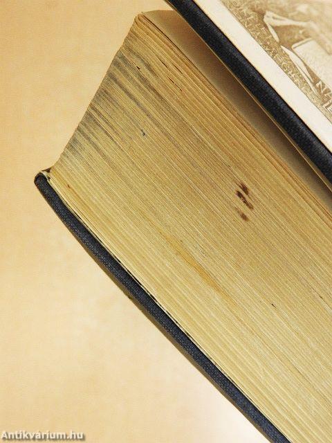 A szarvassá változott fiú