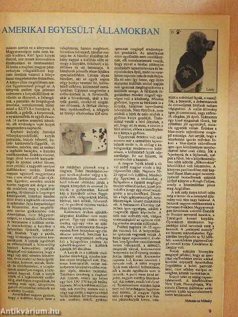 A Kutya 1992. április