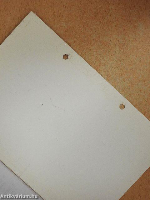 A zsidó liturgikus zene I-II.