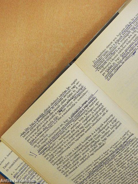 Ember és termelékenység