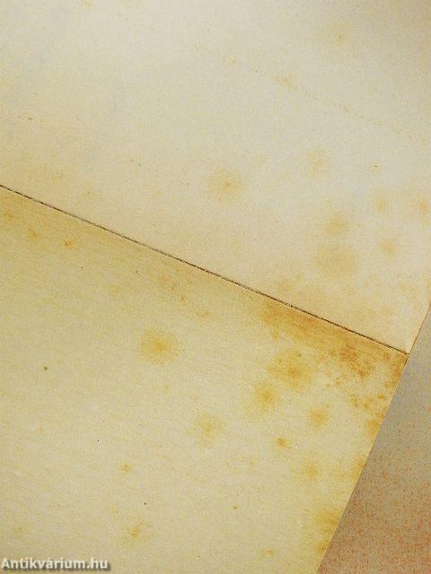 Versenyfutás a halállal