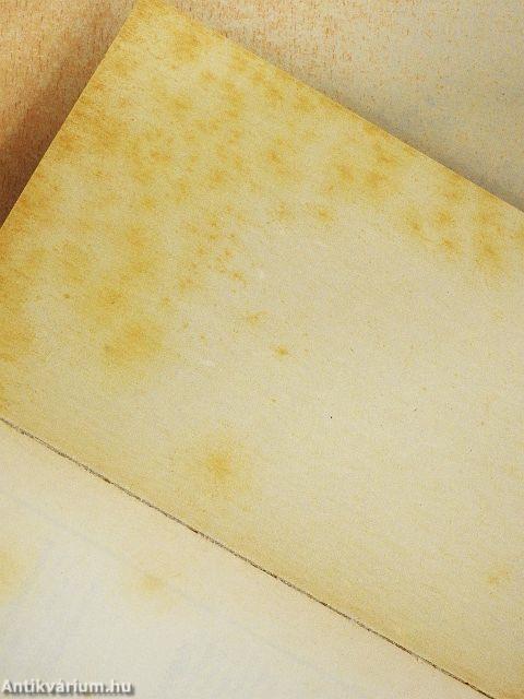 Versenyfutás a halállal