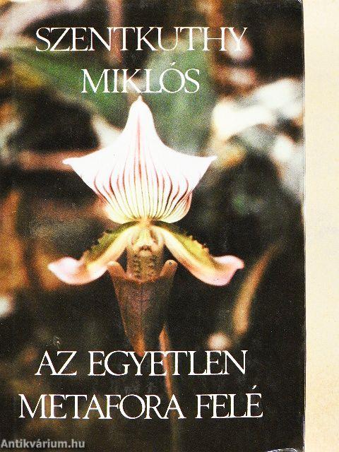 Az egyetlen metafora felé