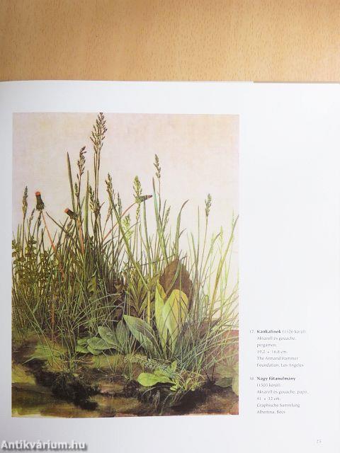 Dürer