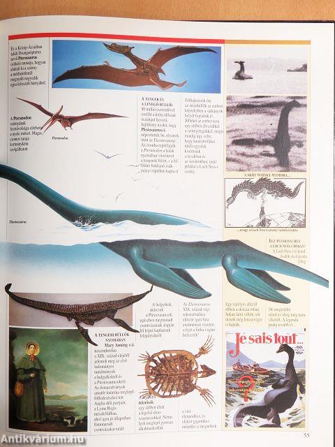 Új képes történelem 1-20.