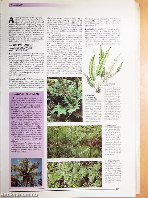 Larousse - A természet enciklopédiája