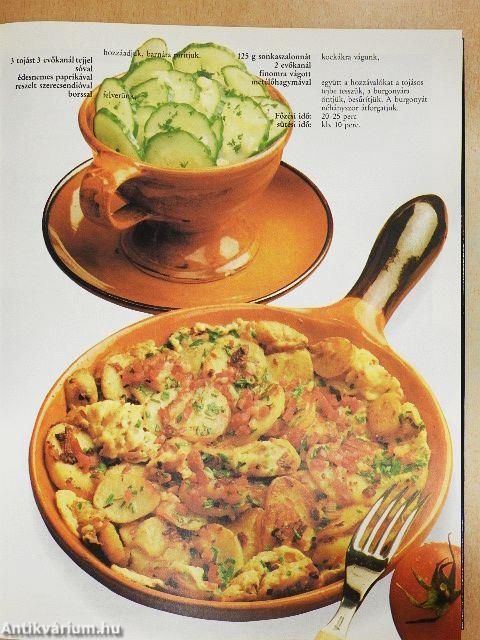 A kezdő kertész - kertészkedés magaságyban