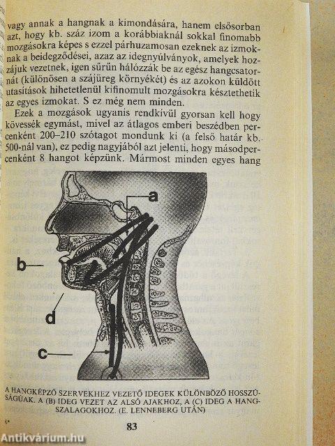 A nyelv és a nyelvek