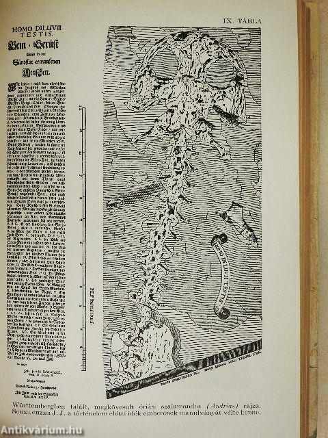 A nyughatatlan Föld