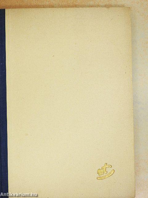 A magyar szó regénye