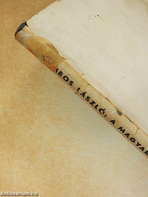 A magyar szó regénye