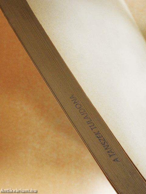 Az Esterházy család hercegi ágának levéltára