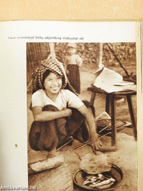 Fel a Mekong folyón