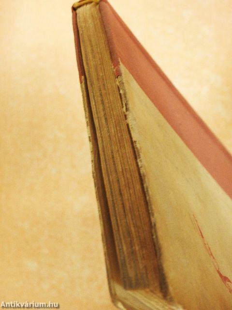 Így láttam a kapuból