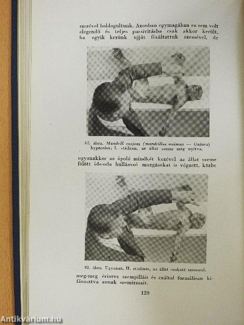 Ember- és állat-hypnosis