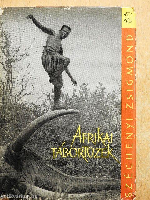 Afrikai tábortüzek