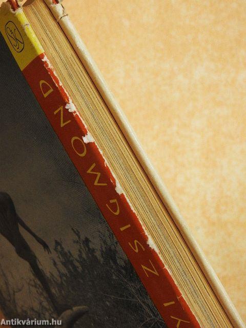 Afrikai tábortüzek