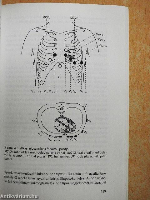Gyakorló klinikusok kézikönyve
