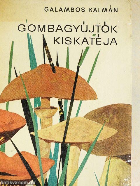 Gombagyűjtők kiskátéja
