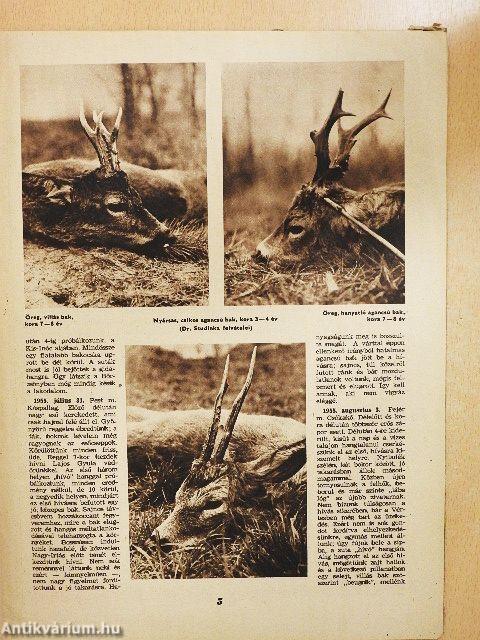 Magyar Vadász 1958. július