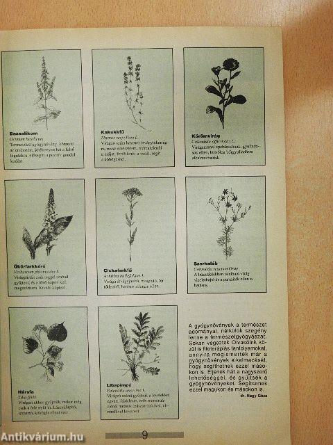 Új Elixír Magazin 1993. augusztus