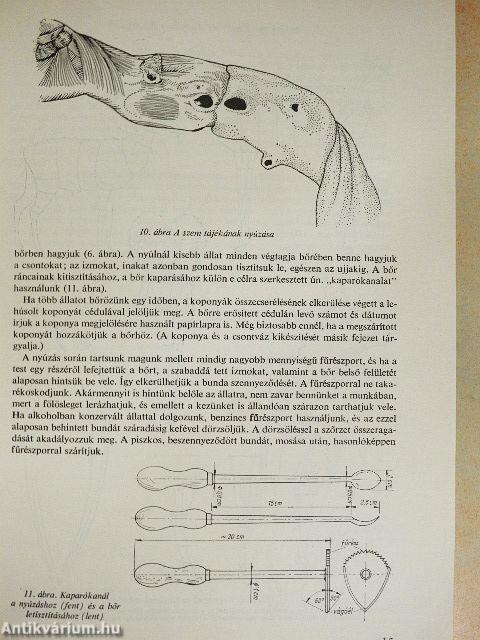 Állatpreparátumok készítése