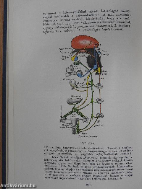 Ember- és állat-hypnosis