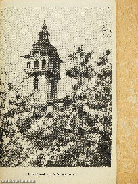 A napfény városa Szeged I.