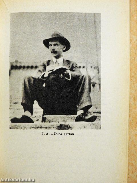 József Attila alkotásai és vallomásai tükrében