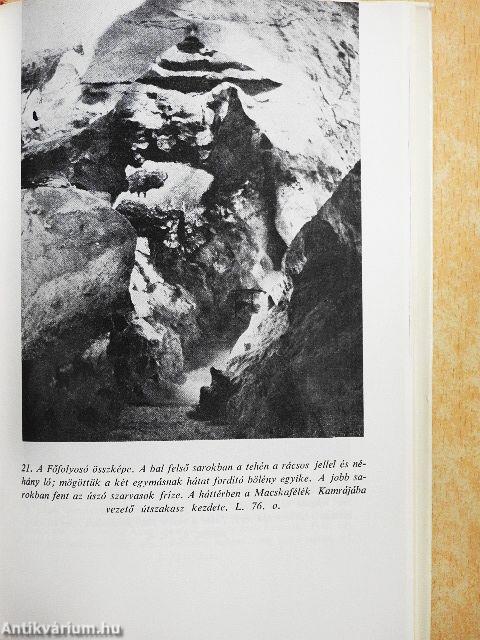 Őskori barlangművészet