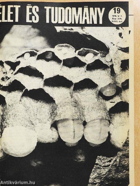 Élet és Tudomány 1976. (nem teljes évfolyam)